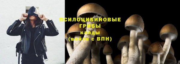 таблы Алзамай