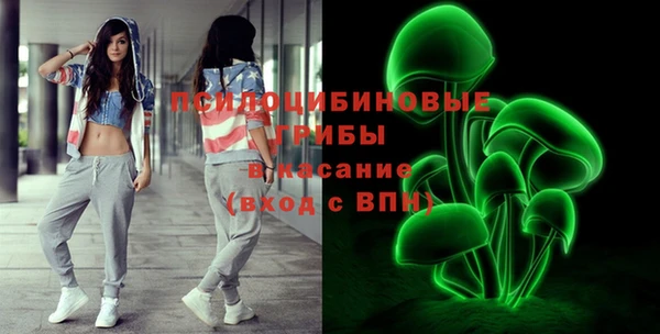 ПСИЛОЦИБИНОВЫЕ ГРИБЫ Алексин